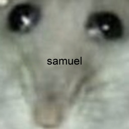 User avatar