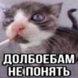 User avatar